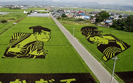 Des champs de riz artistiques ou les agroglyphes japonais!!