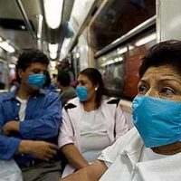 Grippe porcine au Mexique