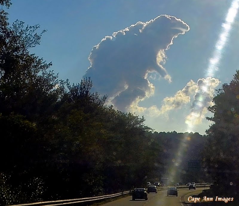 Godzilla Cloud small