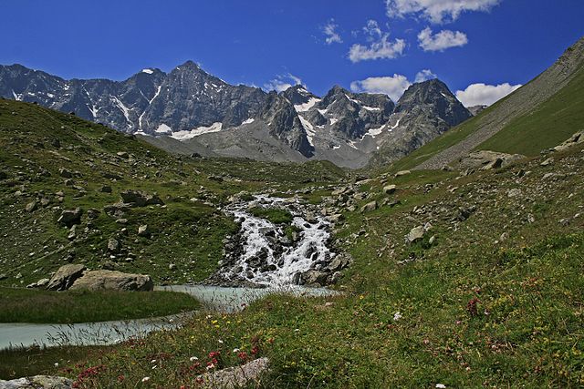 Réou d'Arsine dans le Parc National des Ecrins